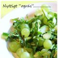 Krydda din sallad med maskrosblad!