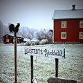 Hem till gården