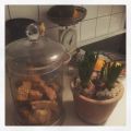 Glutenfria saffransbiscotti 