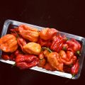Chili Bhut Jolokia