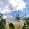 Drink - Fläder och ingefäsdrink