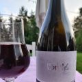 Druvan och vinet 81: Blatina; Plava Greda Brkic[...]