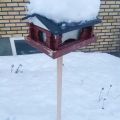 Fredagen i bilder