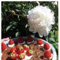 Sommar barn med Dagens kladdkaka!