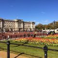 London - hotell- och restaurangtips för[...]