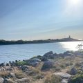 Vilken sommar!