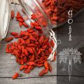 Superfoods: Goji (Bocktörne)