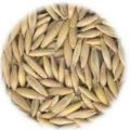 Näringshistoria del 3 Naturligt -> Processade