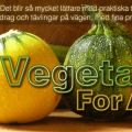Vegetarian for a year