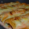 Canneloni, god gluten- och näst intill[...]