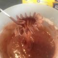 Chokladmuffins