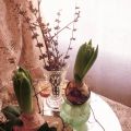 Blommor.