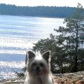 Det vart en dag vid stranden