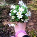 sommarvärme i april