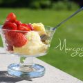 Creamy Mango Ice Cream sorbet