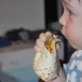 Plötsligt händer det - Viljar gillar tacos