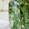 Trädgårdsblommor