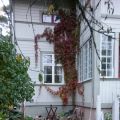 Gångar i trädgården