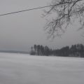 Snabbt julgodis