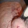 Lingon Semifreddo