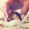 Cookie dough-bollar