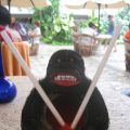 Gorillan