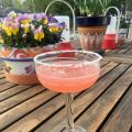 Margarita med rabarbersirap