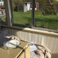 13 liter vatten blir en tomat