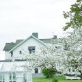 Vår i Villa hagas trädgård