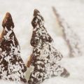 Vintriga chokladdoppade granar