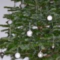 Vår julafton och juldag