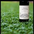 Villa Antinori 2009. Påtal om trollen..