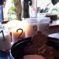 2:a Advent och pepparkaksbak.. ** Känsliga[...]