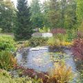 Oktoberstart i trädgården - och en[...]