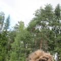 Det vi gjort vid staden, i mitt hjärta.
