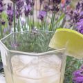 Somriga drinkar med ljus rom som bas