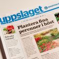 Uppslaget och tomatrecept från Gourmetmorsan