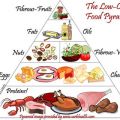 LCHF för nybörjare