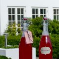 Superenkel rabarbersaft