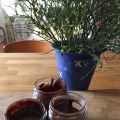 Nutella - hemmagjord alltså!