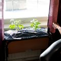 Earthboxes på olika ställen