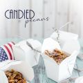 Easy Candied Pecans (Enkla Kanderade[...]