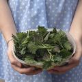 Gott från naturen - nässlor