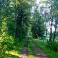 2 Pyramidpass och morgonluft