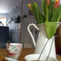 Med en enkel tulipan....