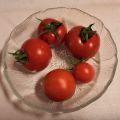 Tomatskörd och fortsättning på[...]