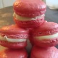Tutti Frutti Macarons