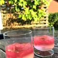 Rabarberdrink