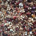 Knaprig egen musli