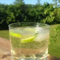 Enkel välkomstdrink med Martini